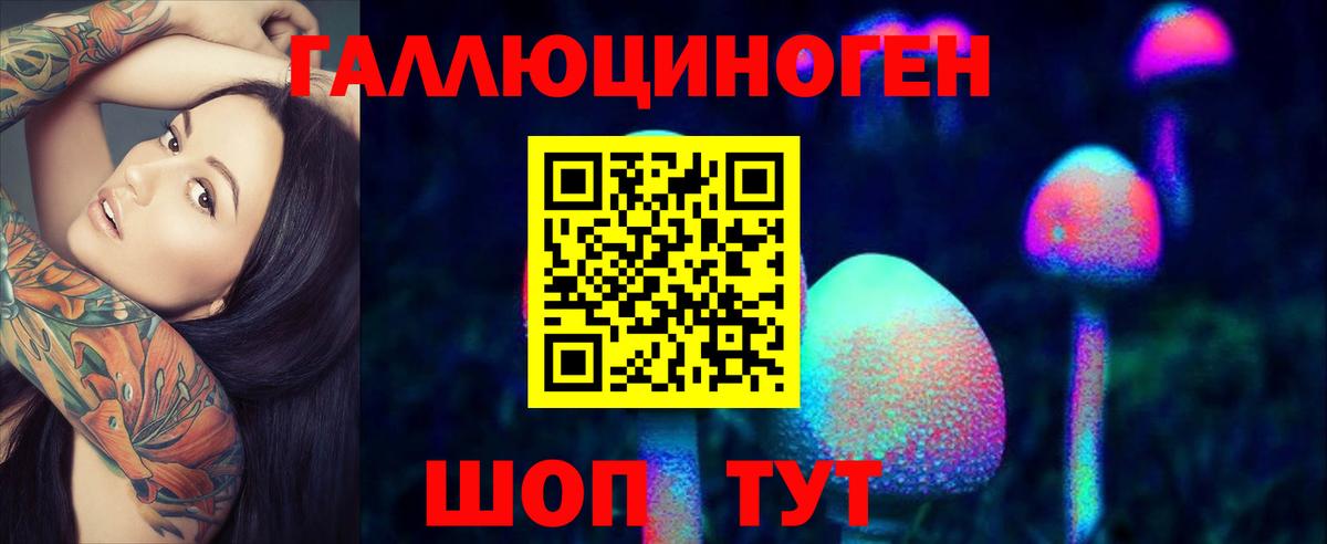 Галлюциногенные грибы мицелий Гай
